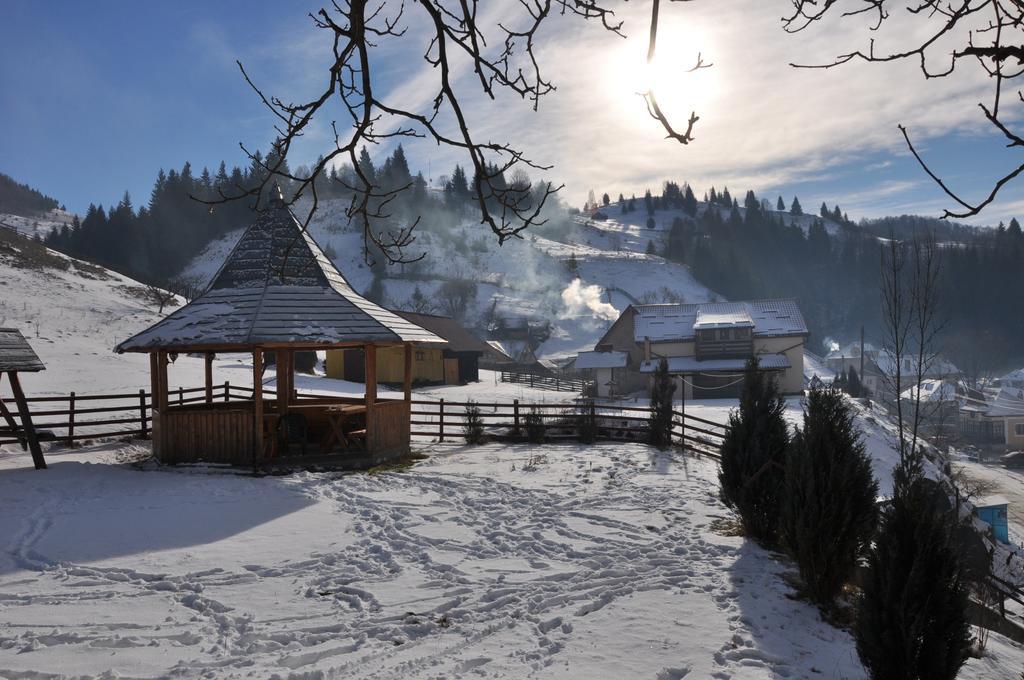 Pensiunea La Ionica Dâmbovicioara Bagian luar foto