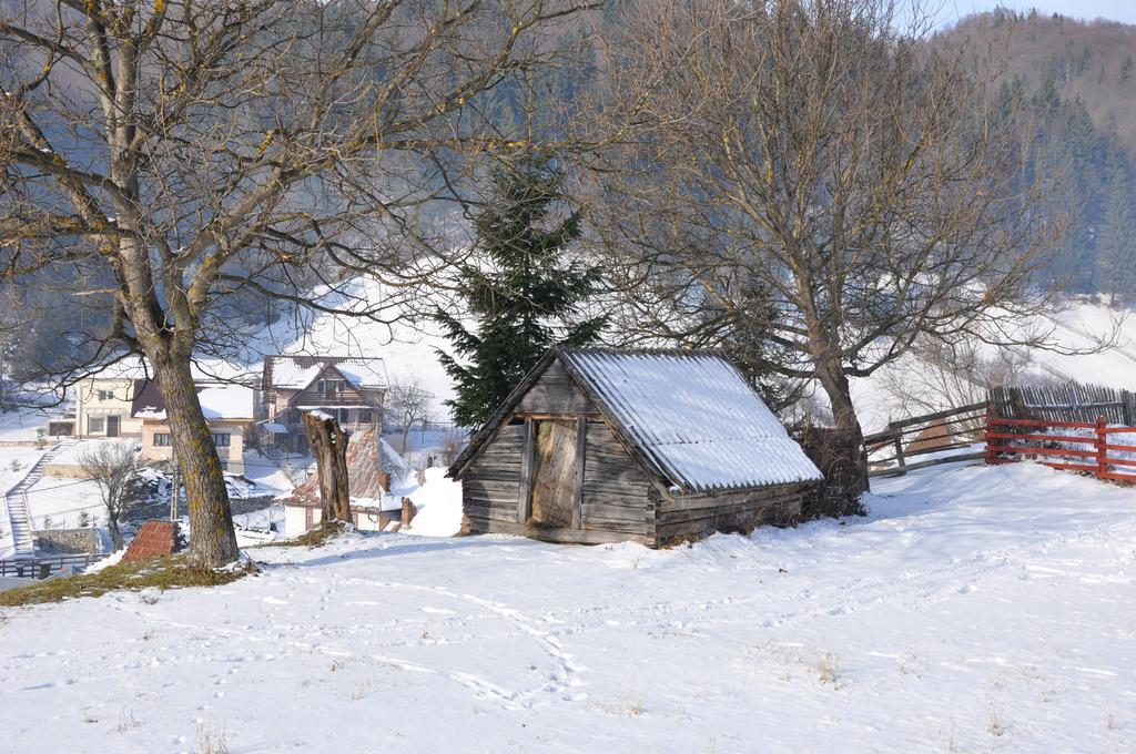 Pensiunea La Ionica Dâmbovicioara Bagian luar foto