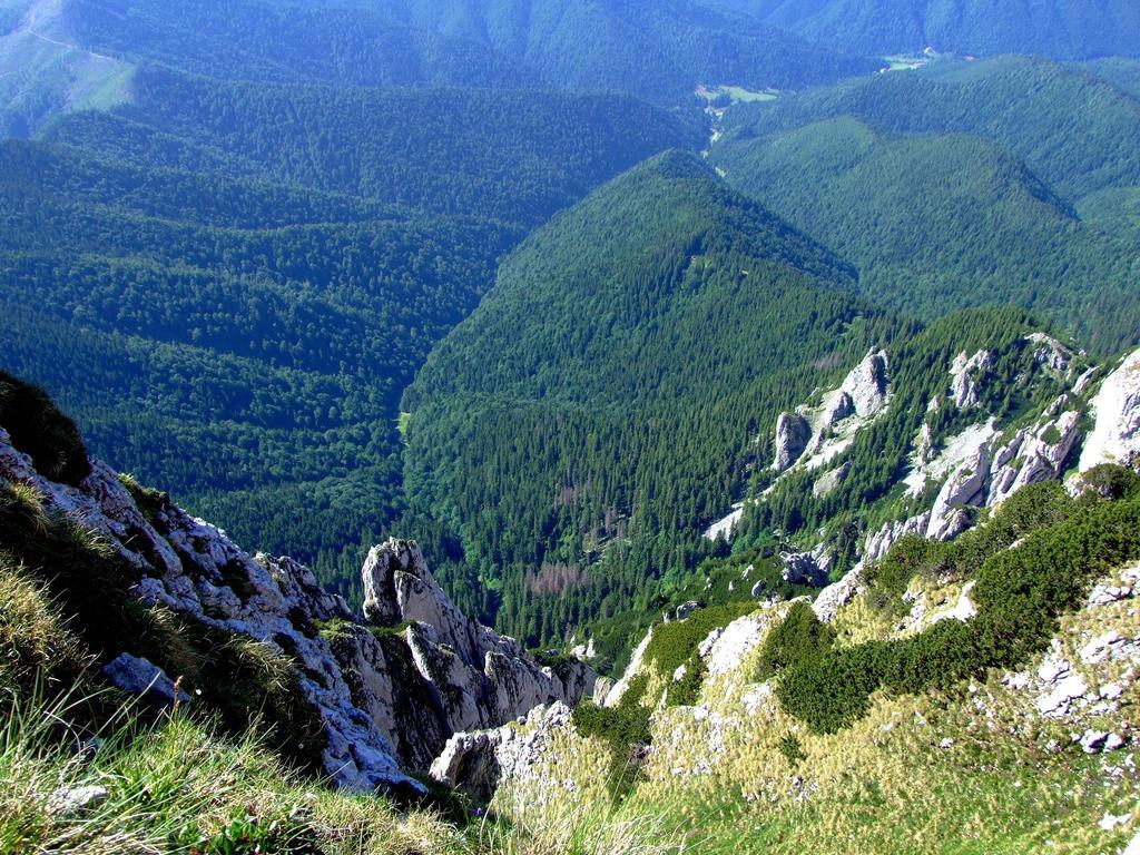 Pensiunea La Ionica Dâmbovicioara Bagian luar foto