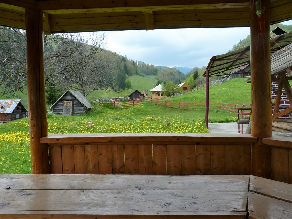 Pensiunea La Ionica Dâmbovicioara Bagian luar foto