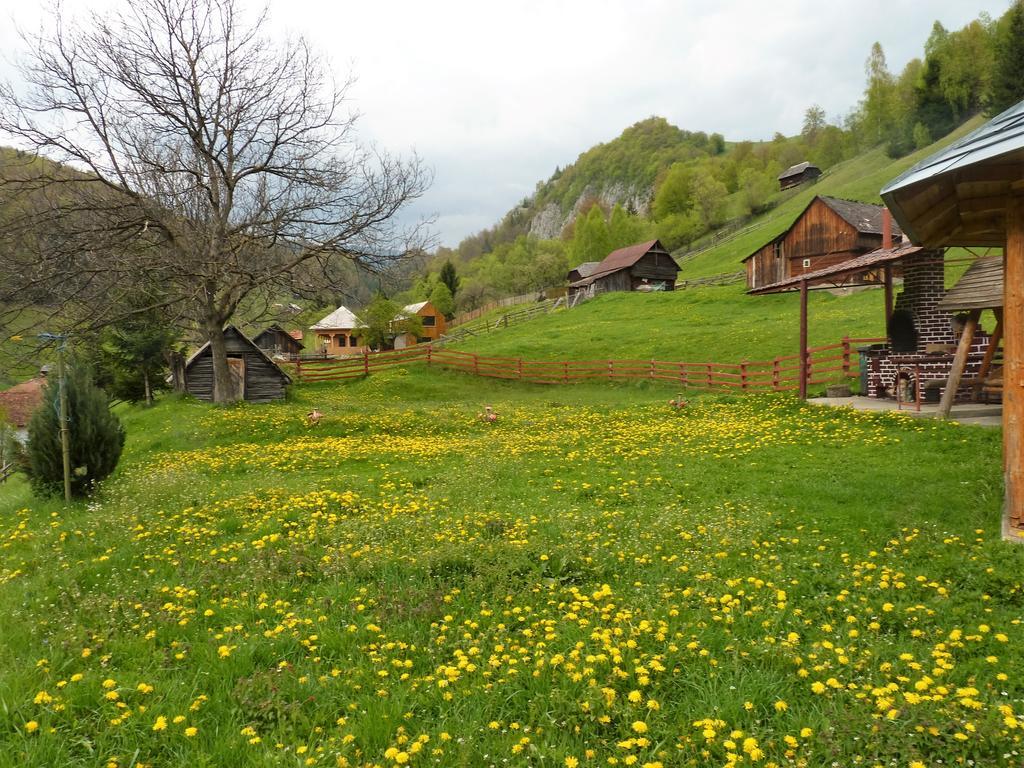 Pensiunea La Ionica Dâmbovicioara Bagian luar foto