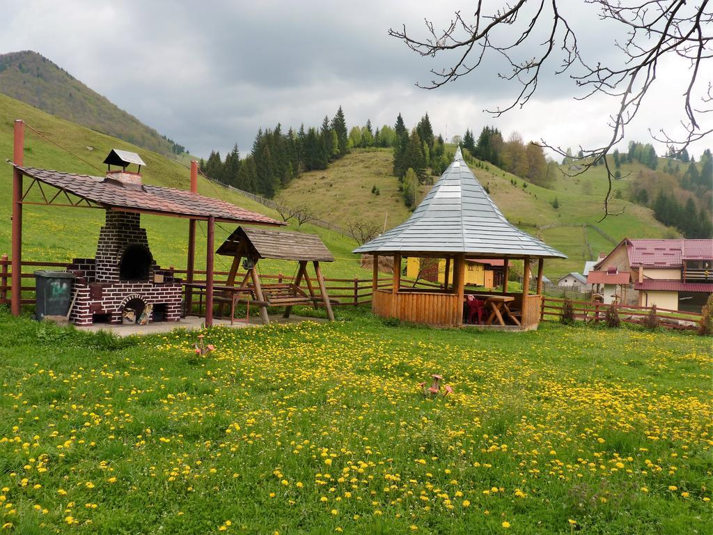 Pensiunea La Ionica Dâmbovicioara Bagian luar foto