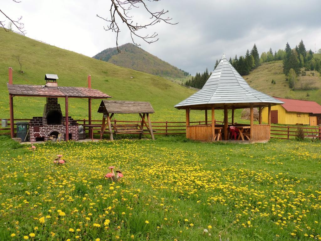 Pensiunea La Ionica Dâmbovicioara Bagian luar foto