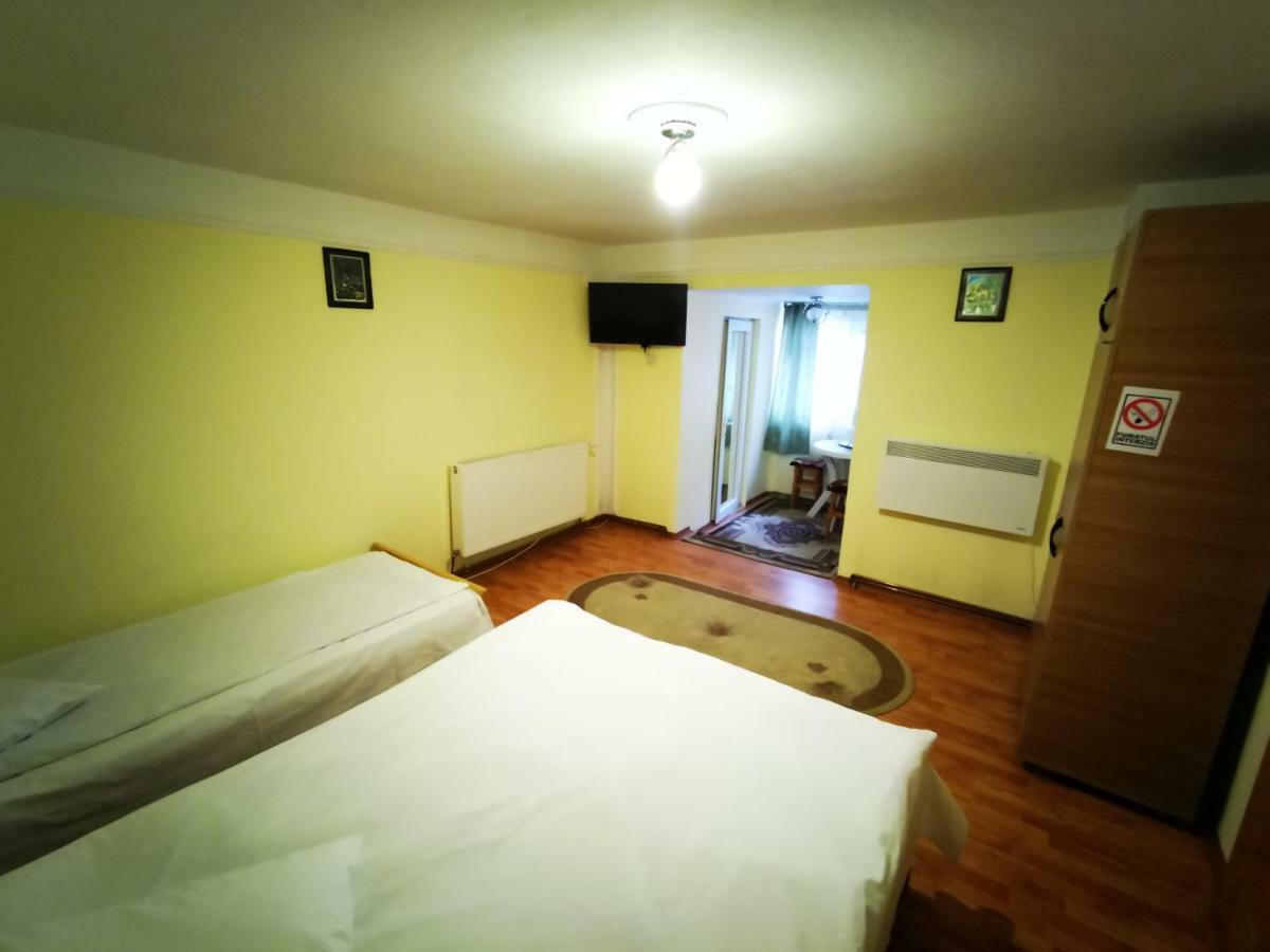 Pensiunea La Ionica Dâmbovicioara Bagian luar foto